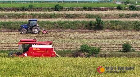 王紫彬：结缘潍柴雷沃智能农机 逐梦天府乡野